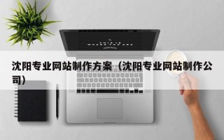 弥勒沈阳专业网站制作方案（沈阳专业网站制作公司）